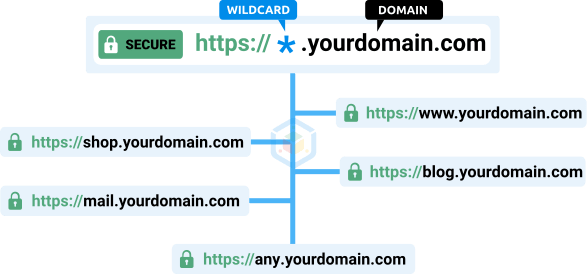 WildCard SSL Certificate - Example of use