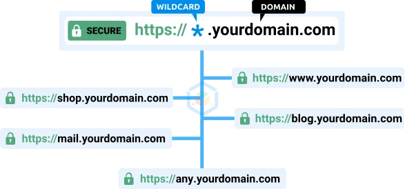 WildCard SSL Certificate - Example of use